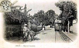 Oran - Route de Gambetta - 1903